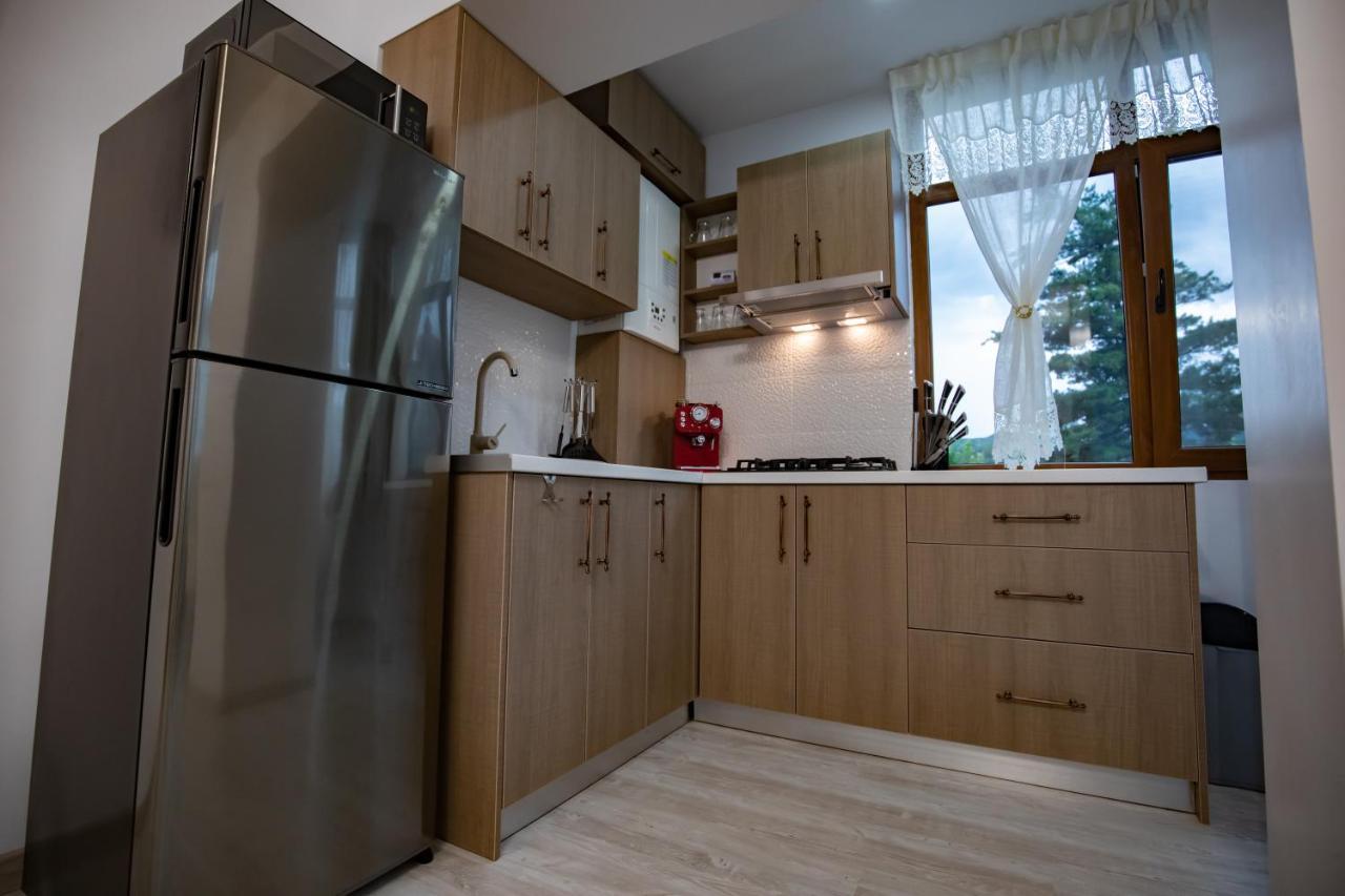 Apartament Natalia Tîrgu Ocna Buitenkant foto